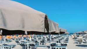 Una playa con filas de tumbonas y sombrillas.