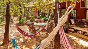 Outdoor dining - Gorgeous Multi-Unit Cabin Rental for Larger Groups Nestled in the Trees for an Unforgettable Getaway in Nature in Ben Wheeler, Texas (Ben Wheeler)