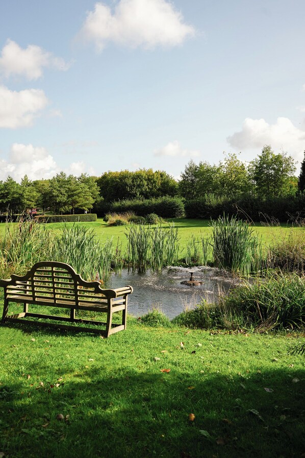 المنطقة المحيطة بالمنشأة