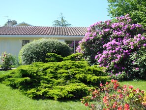 المنطقة المحيطة بالمنشأة