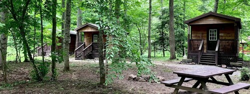 Thematic Western Suite Rental with Back Deck Access in West Virginia