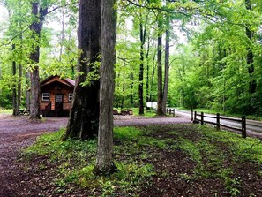 المنطقة المحيطة بالمنشأة