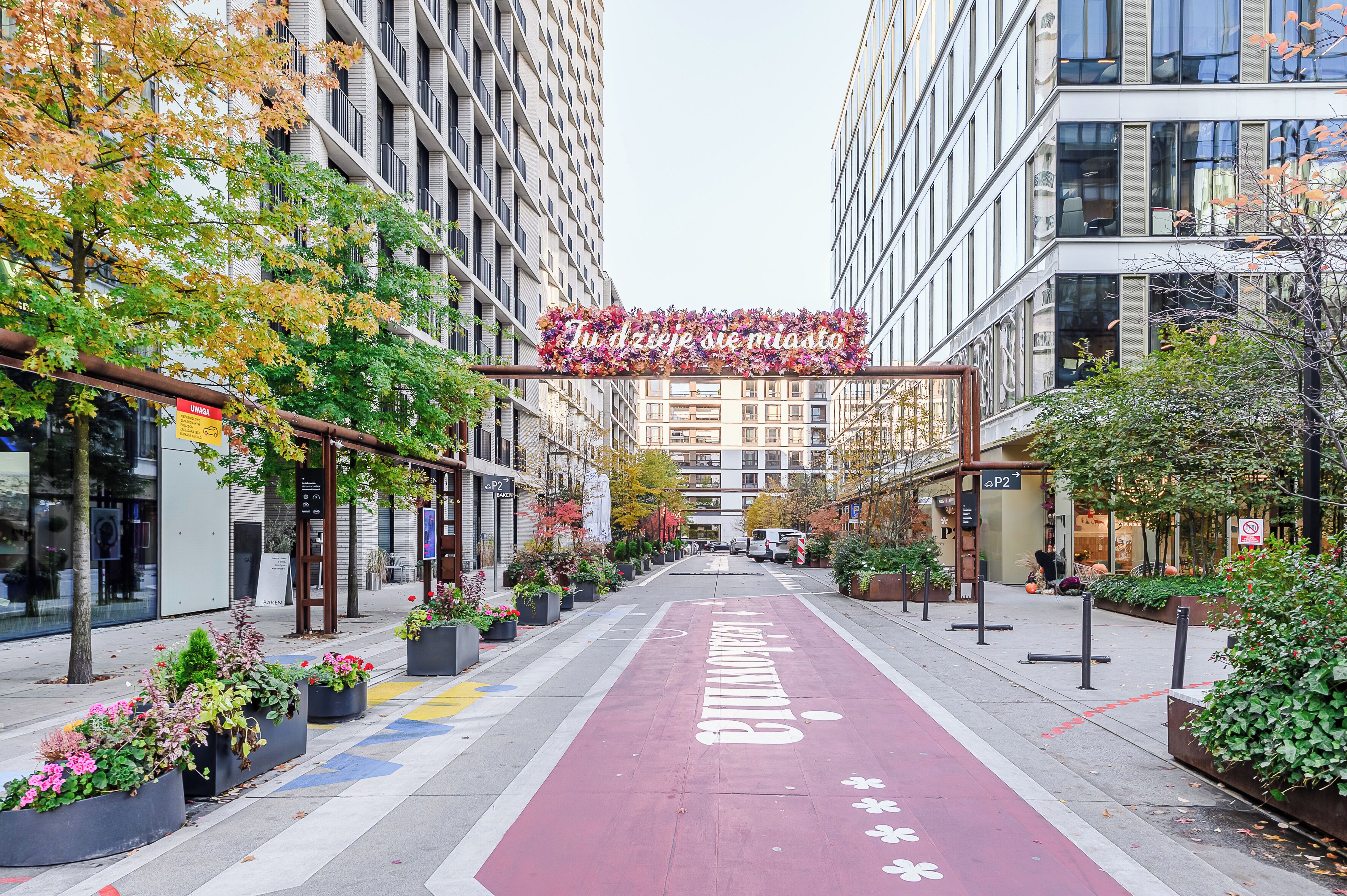 A city street with a bike lane, buildings, and planters with flowers.
