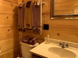 Hair dryer, towels, toilet paper