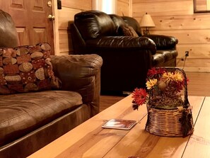 TV - Cozy Cabin Ideal to Create New Family Memories in West Virginia (Monterville)