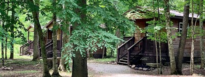 Amazing Wooden Cabin in Monterville, West Virginia