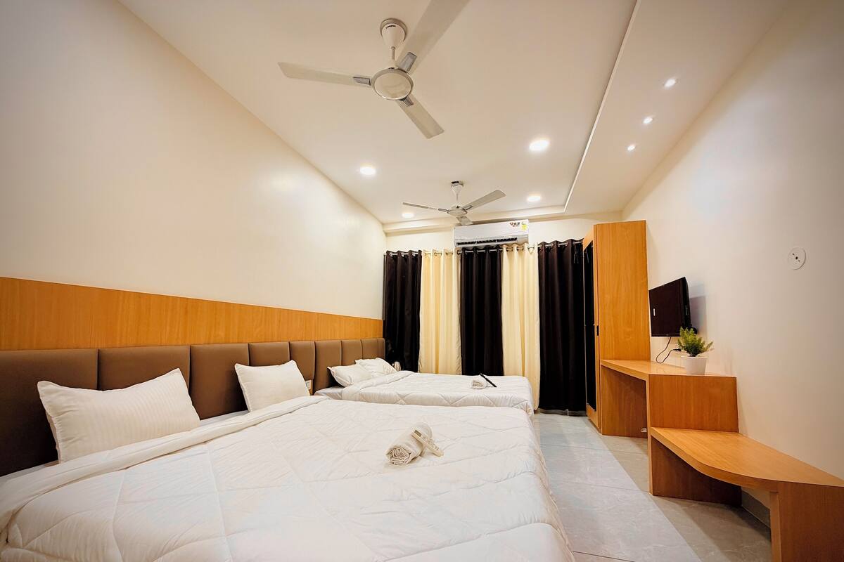 A hotel room with two beds, a ceiling fan, an air conditioning unit, a TV, and a small plant.
