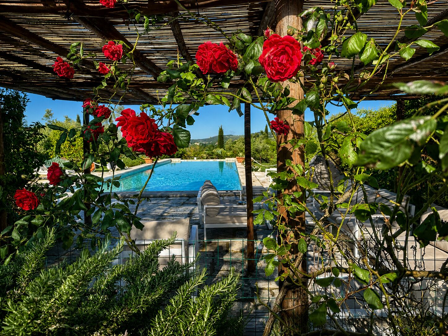 Seasonal outdoor pool, sun loungers