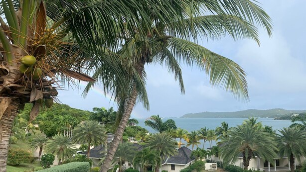 A pool with a view of the sea, surrounded by palm trees and houses. - Spacious ocean view king bed villa 2 minutes from the restaurant pool and beach (FreeTownst)