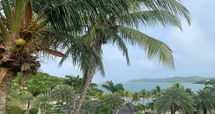 spacious ocean view king bed villa 2 minutes from the restaurant pool and beach