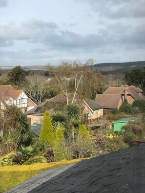 Miscellaneous - The Drey (Isle of Wight)