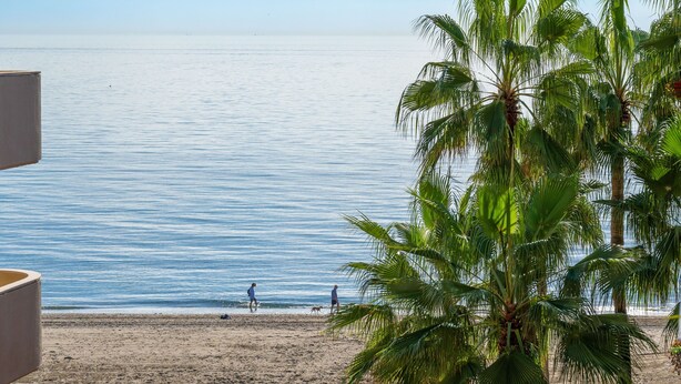 Ein Strand mit Palmen und freiem Blick auf das Meer.