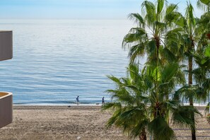 A beach with palm trees and a clear view of the sea.