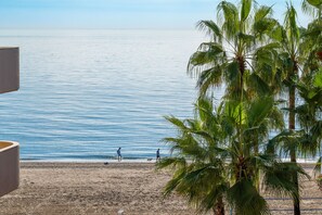 Playa en los alrededores 
