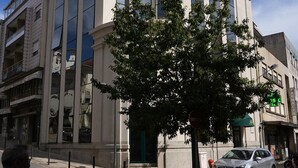 Un bâtiment moderne doté de grandes fenêtres et d’un arbre devant.