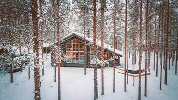 Ulkopuoli