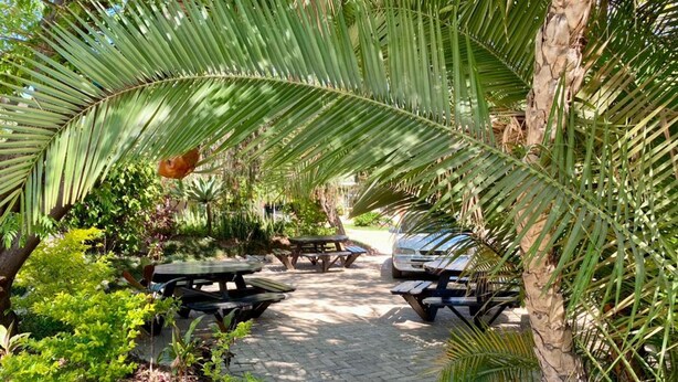 An outdoor patio area with picnic tables and a car parked nearby. - Poolside Executive Suite Near Airport - 2322 (Harare)