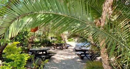 Poolside Executive Suite Near Airport - 2322