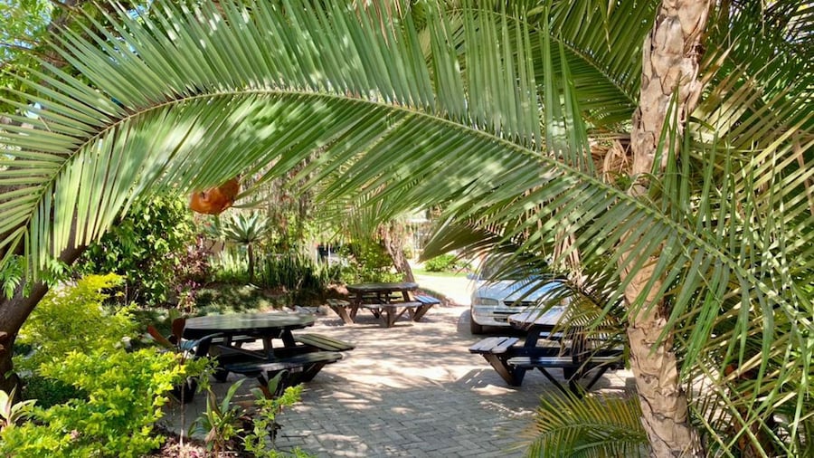 Poolside Executive Suite Near Airport - 2322