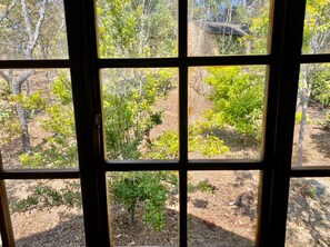 Apartment | 1 bedroom - Stunning Private Cottage in the Heart of Nyanga - 2095 (Juliasdale)