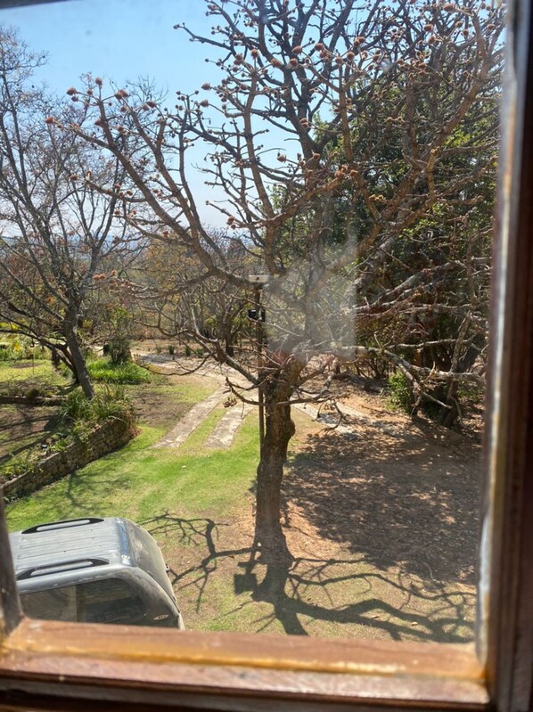 A view through a window of a tree-lined area with a paved path and a parked car. - Stunning Private Cottage in the Heart of Nyanga - 2095 (Juliasdale)