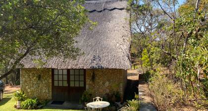 Stunning Private Cottage in the Heart of Nyanga - 2095