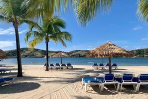A beach with rows of blue lounge chairs and thatched umbrellas, palm trees, and a clear view of the sea. - Beautiful Beach Front Villa in a prime location (Saint Paul's)