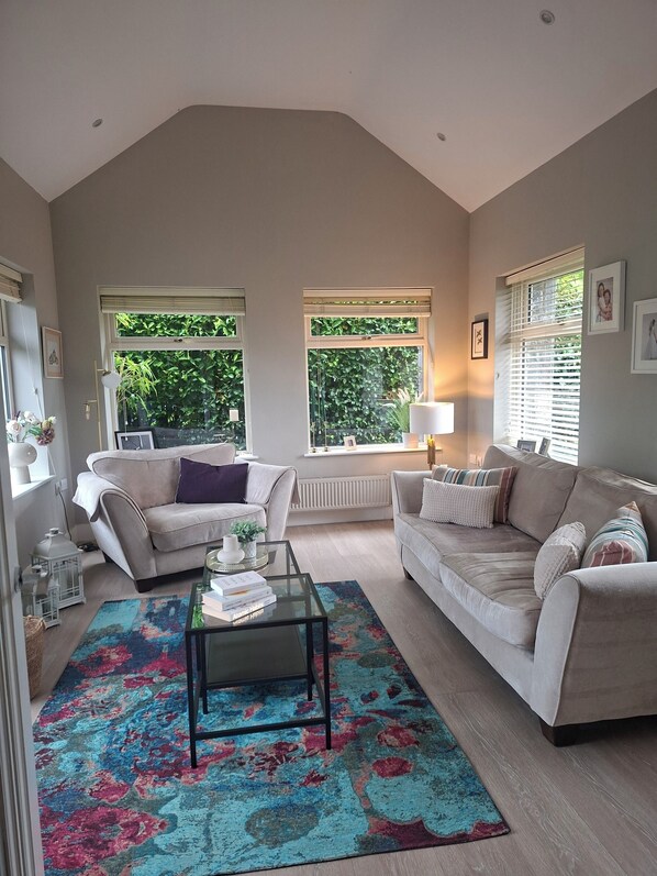 A living room with two sofas, a coffee table, and a colorful rug. There are windows with blinds, a radiator, and a lamp.