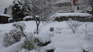 Ein Wohngebiet mit verschneitem Grund, Bäumen und einem Gebäude mit Balkon.