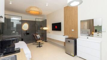 Basic Studio | Minibar, iron/ironing board, free WiFi