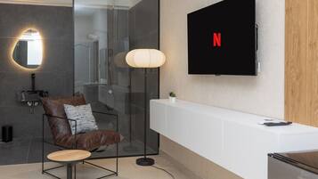 Minibar, iron/ironing board, free WiFi