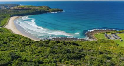 Serendipity Shell Cove