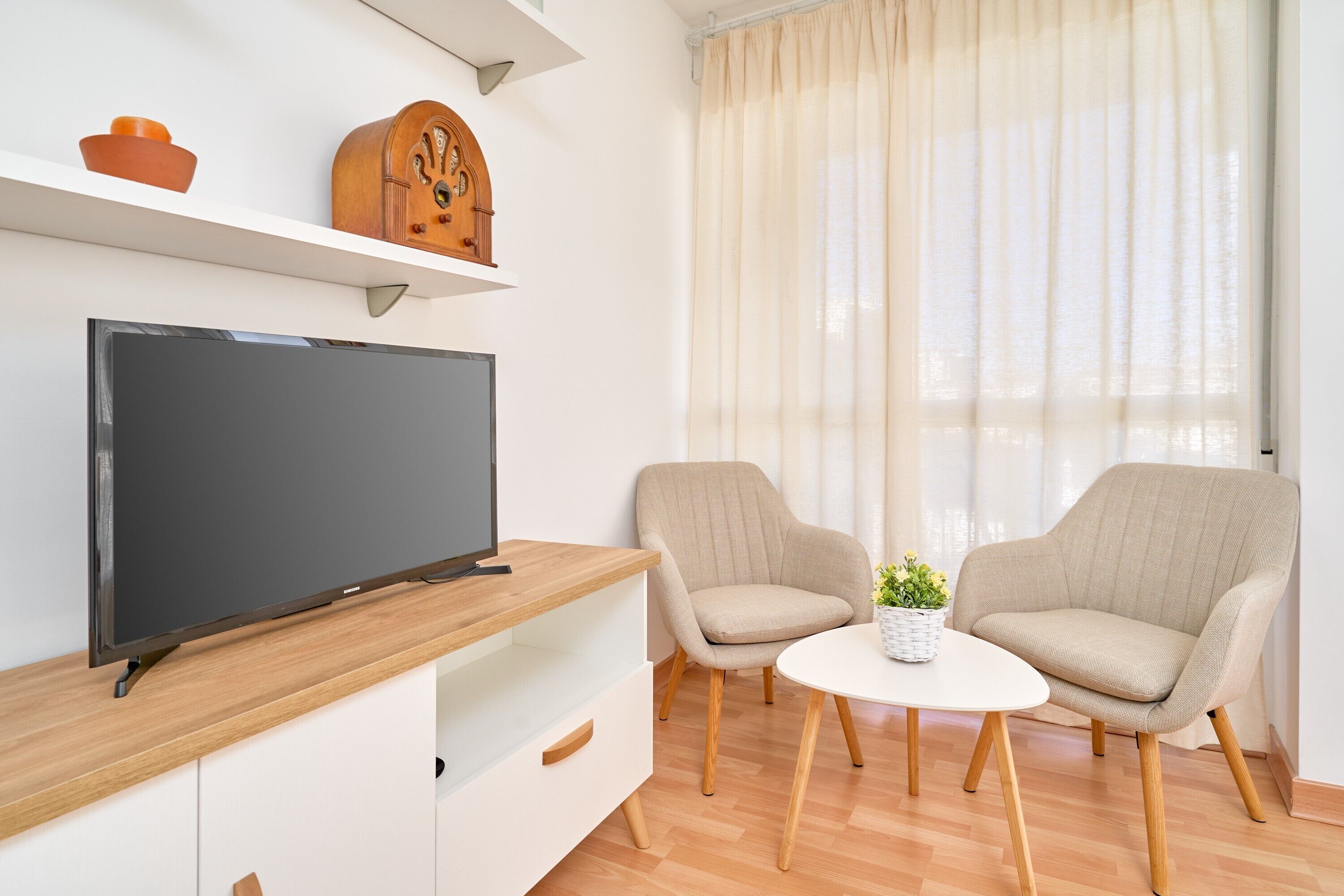 Een moderne woonkamer met een flatscreen televisie, twee fauteuils, een bijzettafeltje en een potplant.