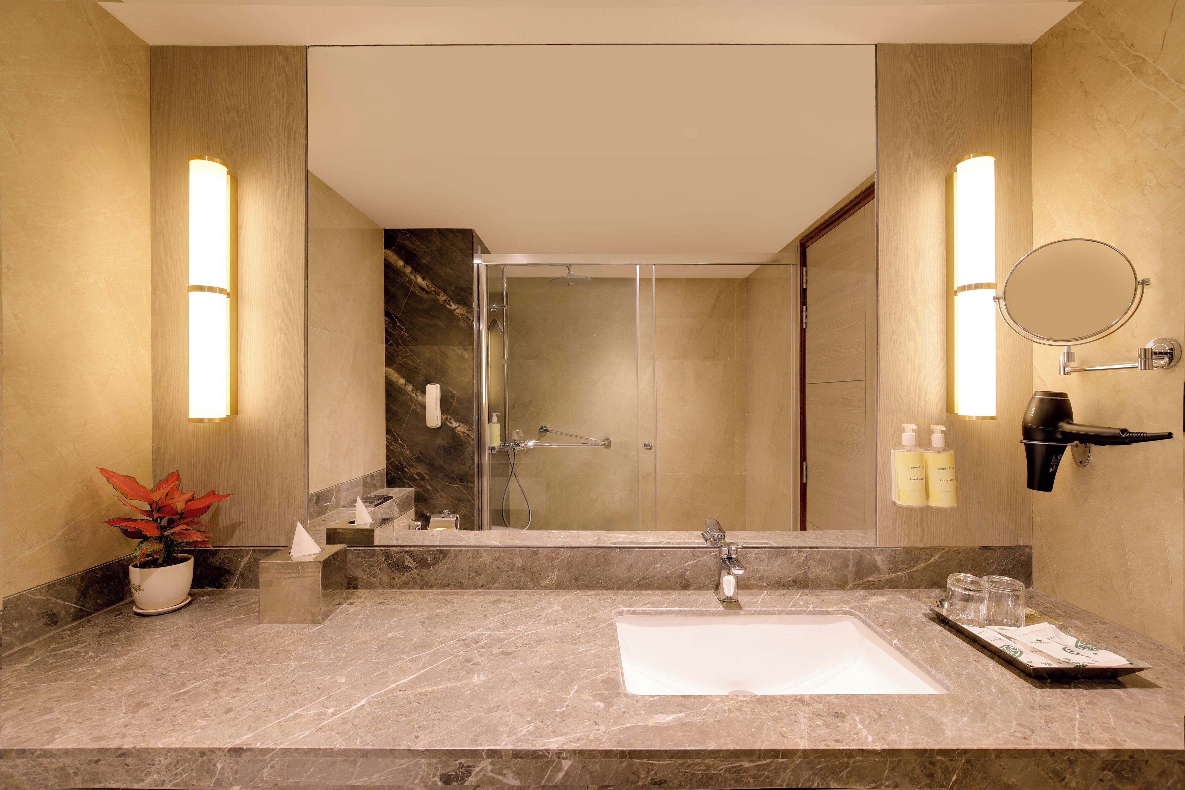 Un baño moderno con un lavamanos grande, cabina de ducha de vidrio y una planta en maceta.