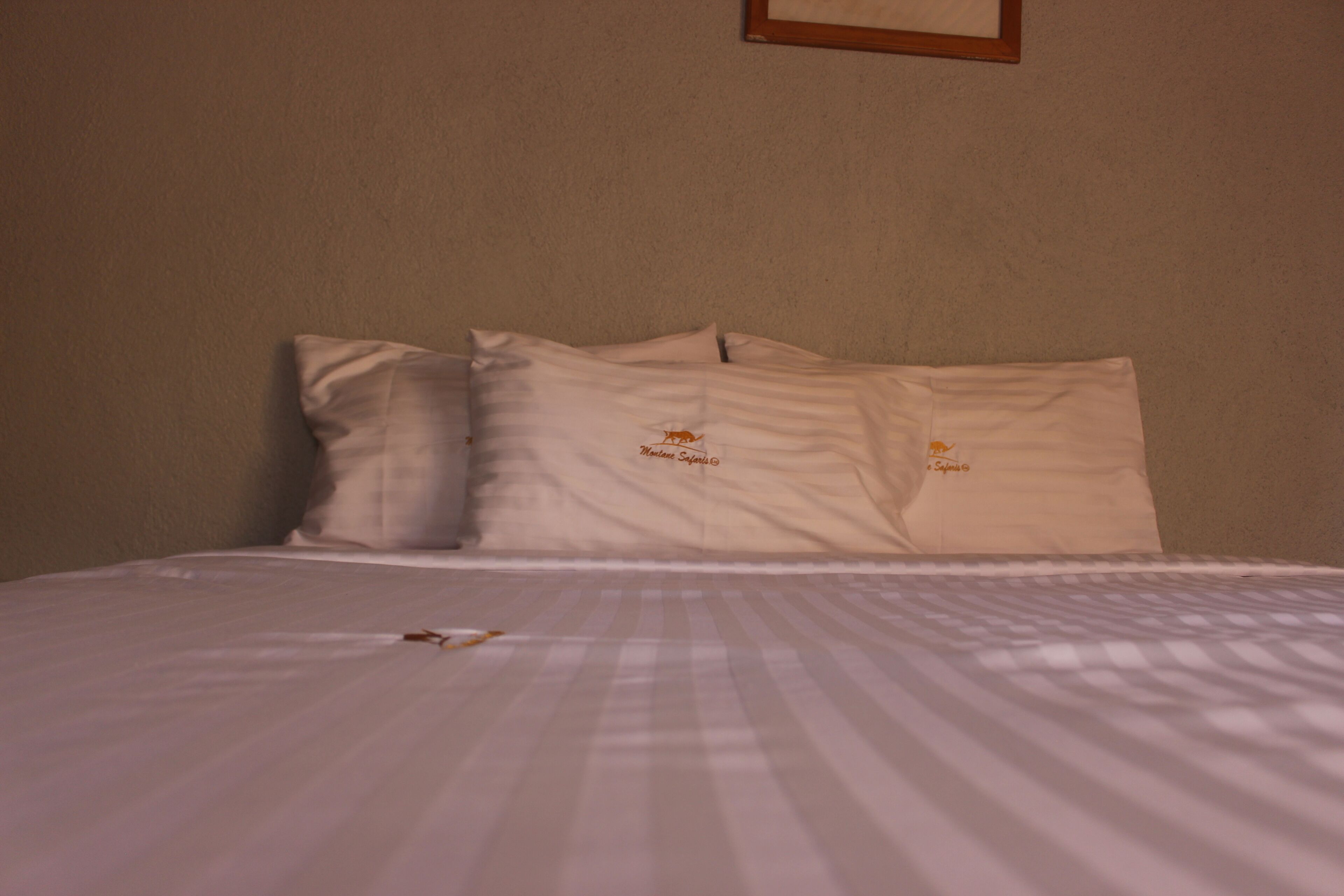 Premium bedding, pillowtop beds, desk, laptop workspace