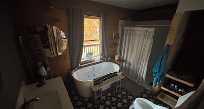 Modern cabin on nature preserve