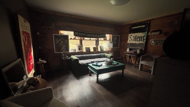 Un salon chaleureux avec un canapé vert, une table basse en bois et une bibliothèque. Un poster est accroché au mur et une fenêtre offre une vue sur l’extérieur.