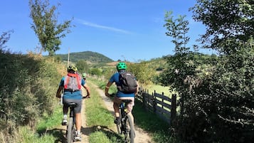 Two cyclists on a dirt path surrounded by greenery and a wooden fence.