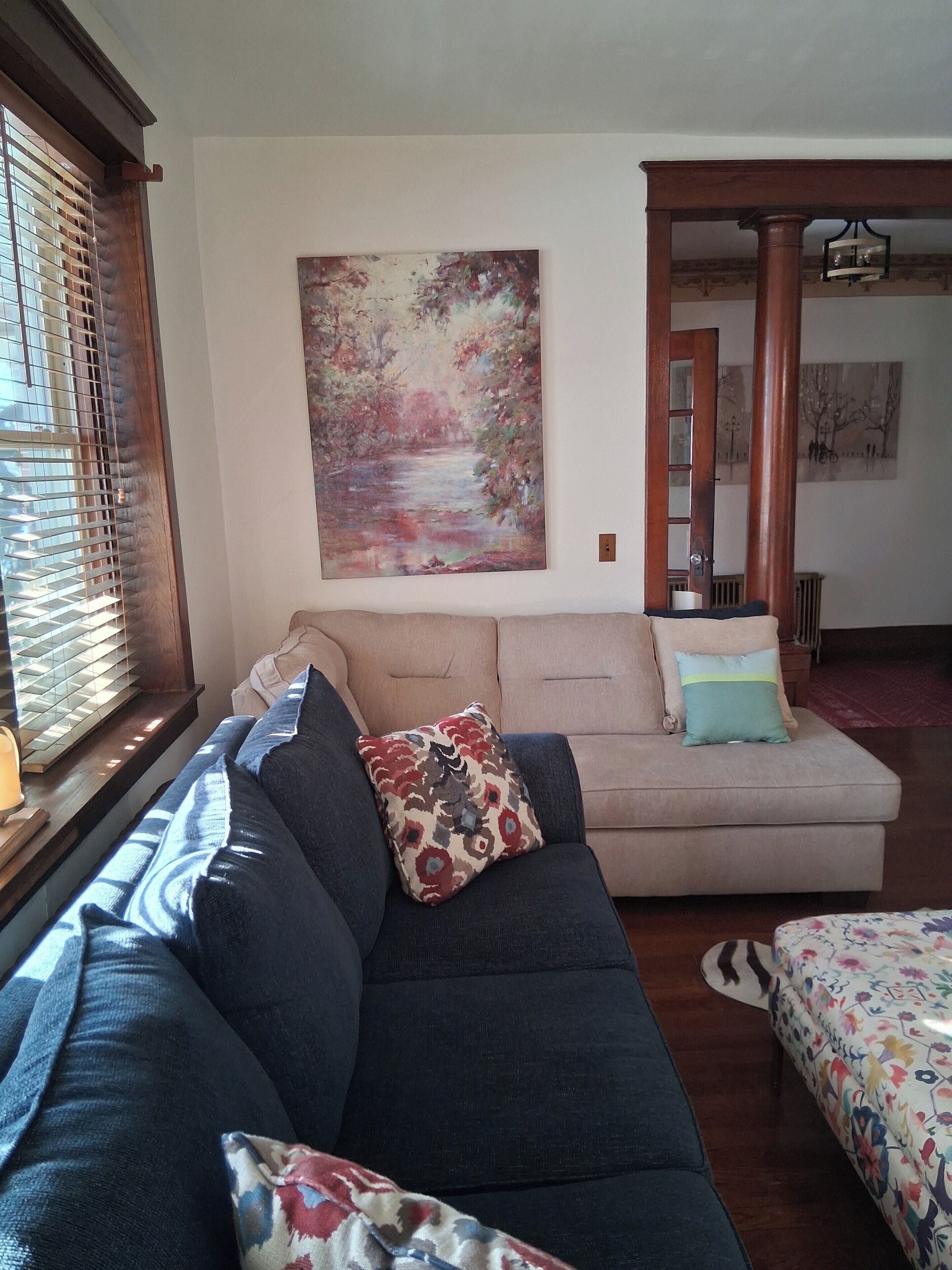 Smart TV, chimenea, reproductor de DVD y libros 
