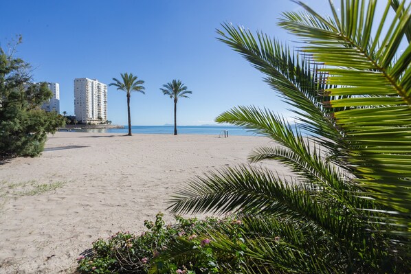 Une plage de sable, avec des palmiers et des bâtiments en arrière-plan.