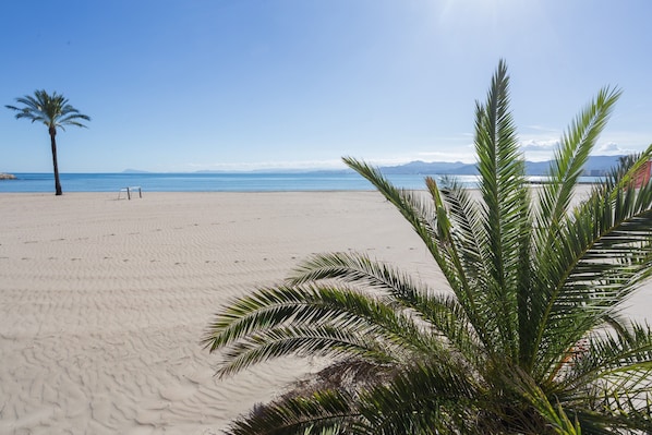 A beach with a palm tree, clear sky, and calm sea.