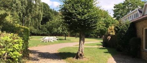 Áreas de la propiedad