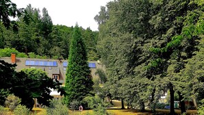 A serene pond with lily pads, surrounded by lush greenery and trees. - Die Heilsbach (Schönau)
