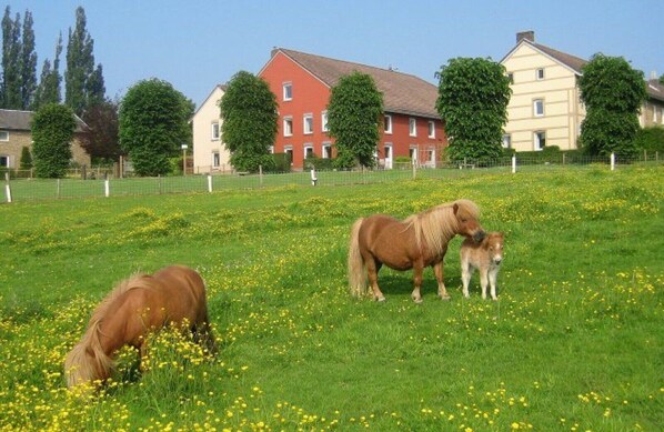 Overnattingsstedets uteområder
