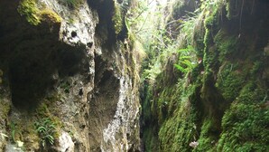A narrow, rocky path flanked by moss-covered walls.