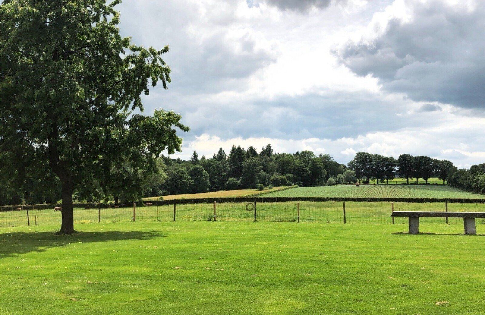 Área da propriedade