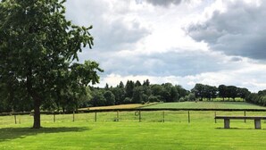 Un champ herbeux avec une clôture, un banc et des arbres en arrière-plan.
