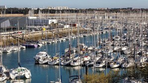 Un puerto deportivo lleno de numerosos barcos amarrados en un puerto.