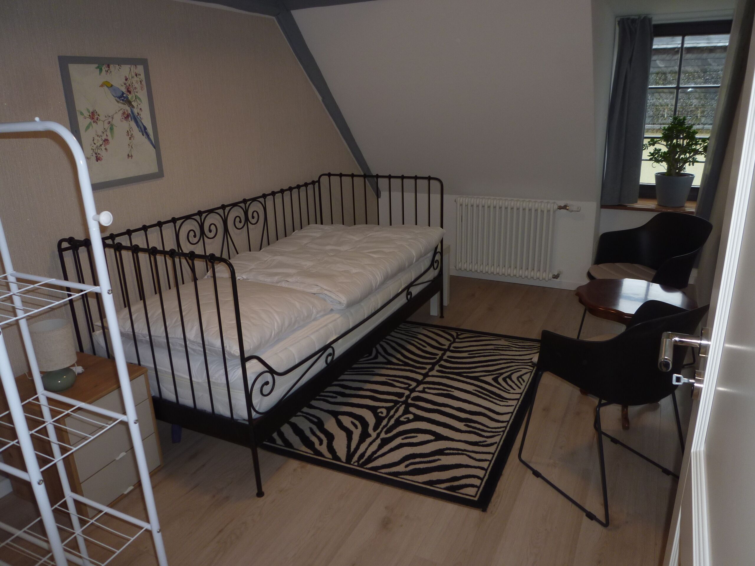 Quarto pequeno com uma cama de solteiro, tapete estampado com padrão de zebra, radiador, janela com cortinas e uma planta.