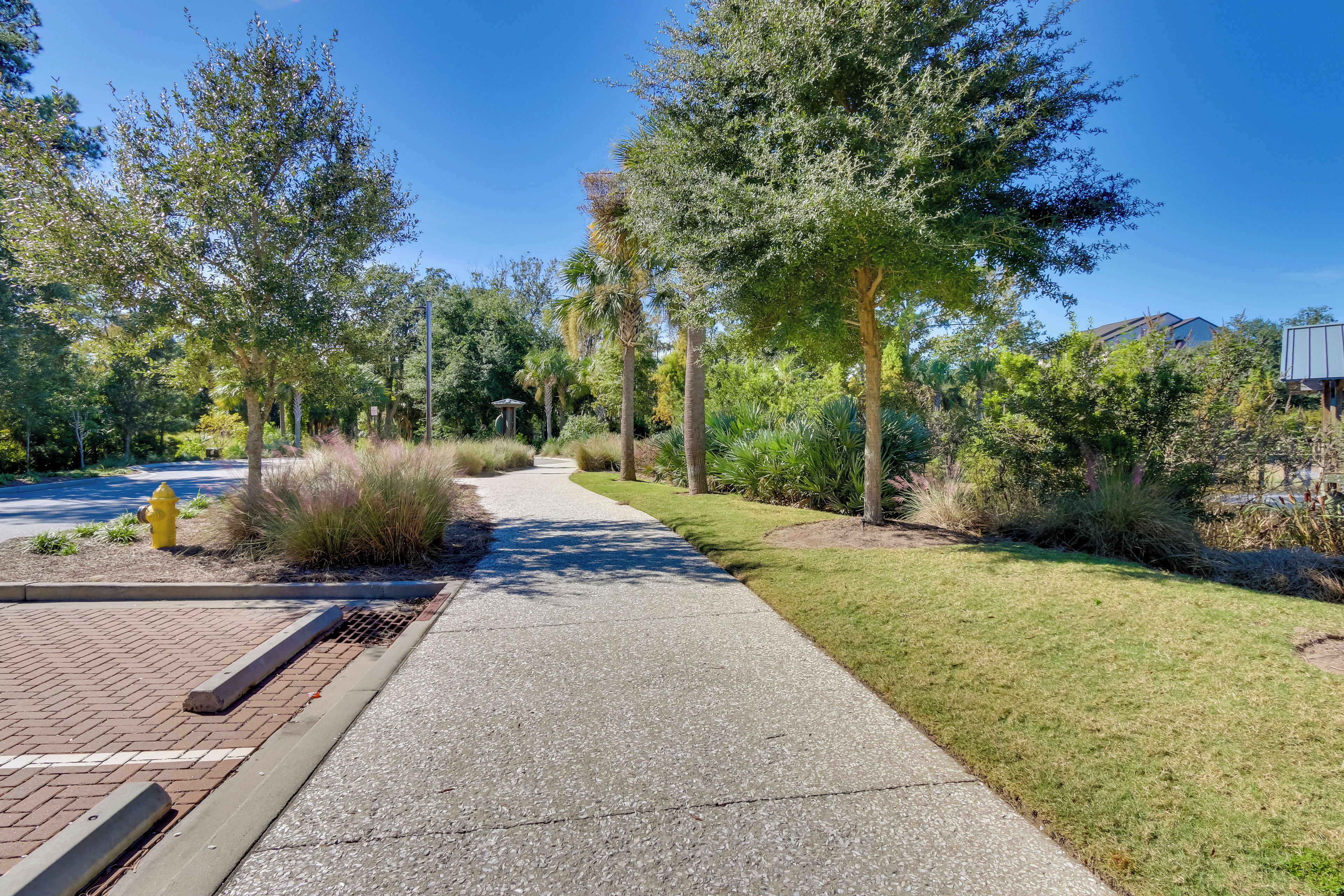 A paved pathway flanked by grass and trees, leading to a building with a visible entrance.